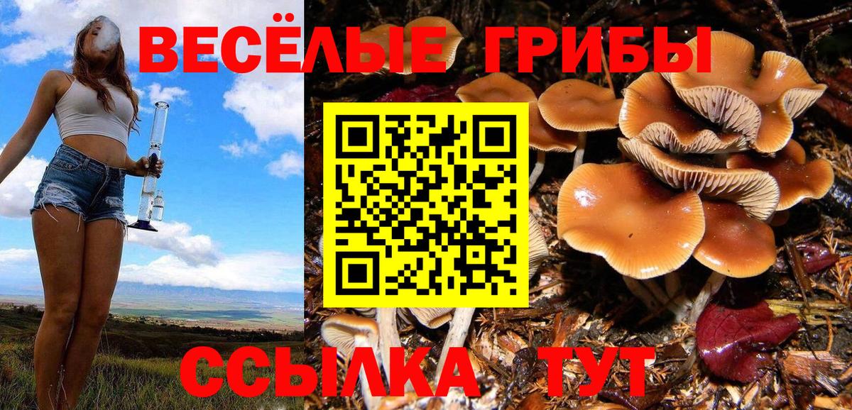 Галлюциногенные грибы Psilocybine cubensis  Вход с VPN  Арсеньев 