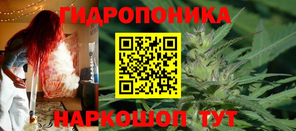 Каннабис сатива Арсеньев